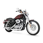 Harley Davidson Sportster XL 883